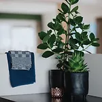 Aparthotel Landgoed Leudal - In De Nabij Roermond