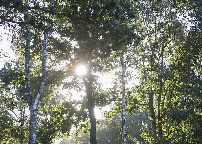 Landgoed Leudal - In De Nabij Roermond Haelen