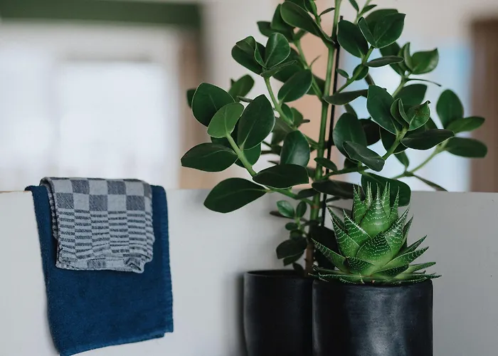 شقة فندقية Landgoed Leudal - In De Nabij Roermond